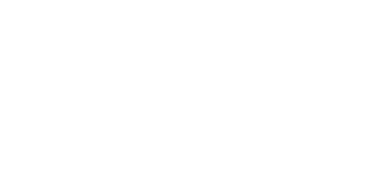 logo MF